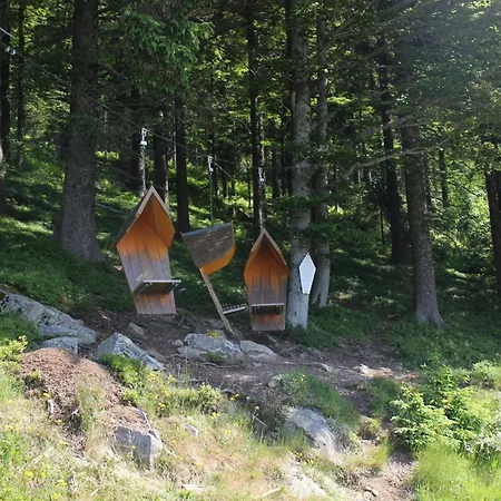 Ferienwohnung-feldberg-in-der-pension-gloecklehof Apartamento *