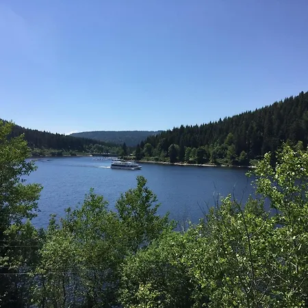 Apartamento Ferienwohnung-feldberg-in-der-pension-gloecklehof Todtnau